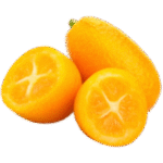 kumquat