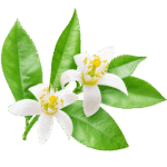 neroli