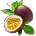 fruit de la passion