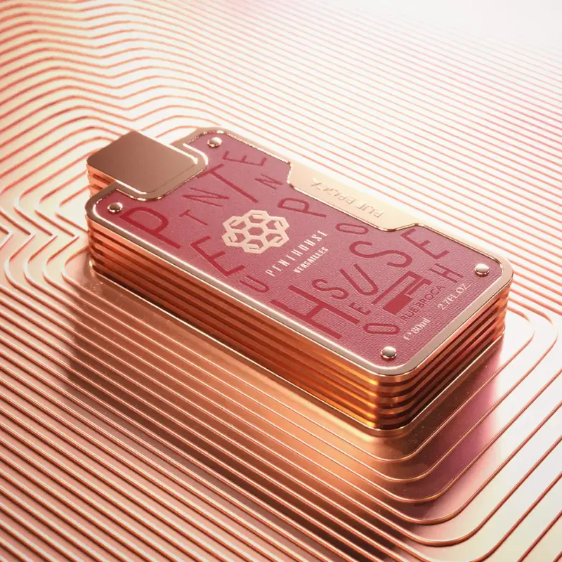 penthouse versailles rue broca