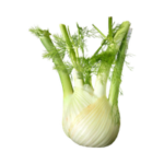 Fenouil