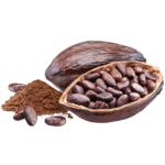 cacao