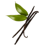 Vanilla